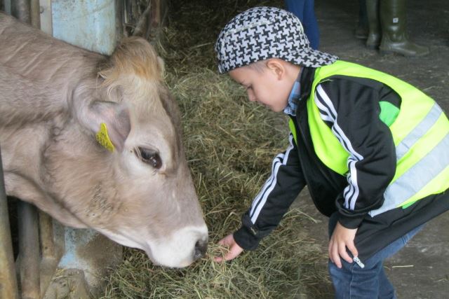 Praxiskindergarten: Kooperation mit dem Lehrbauernhof Pitzelstätten.